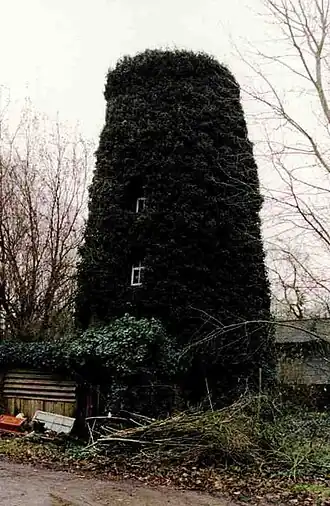 Bewaarde molenromp van Moermolen