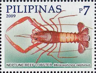 Metanephrops neptunus