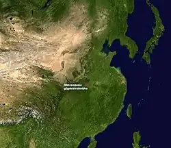 Watercipres (Metasequoia glyptostroboides), oorspronkelijk areaal