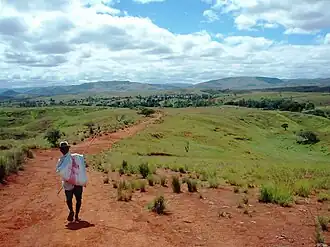 Miarinarivo, Andilamena