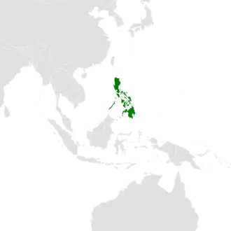 Filipijnse dwergvalk