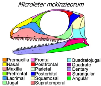 Microleter