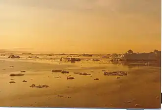 Middernachtzon in Qeqertarsuup Tunua