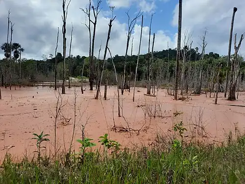 Nabij Brownsweg (2022)