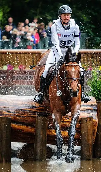 Klimke tijdens de Military Boekelo 2013