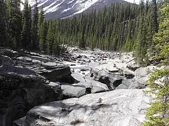 Mistaya voor de herfst