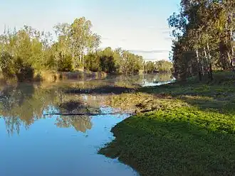 De Maranoa River bij Mitchell