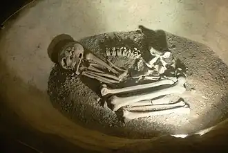 Reconstructie van een Vorstengraf (hurkgraf) in Mitterkirchen im Machland