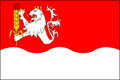 Vlag