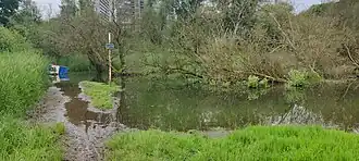 Moeras van Ganshoren