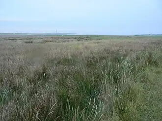 De Mokbaai gezien vanop de Stuifdijk. Op de achtergrond de haven van 't Horntje.