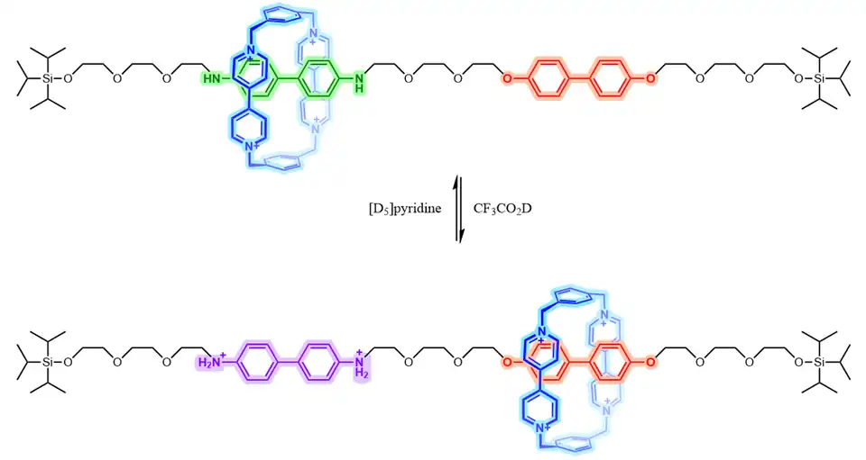 Het eerste voorbeeld van een kunstmatige moleculaire machine (een schakelbare moleculair pendelvoertuig (shuttle)). De positief geladen ring (blauw) bevindt zich aanvankelijk boven de benzidine-eenheid (groen), maar verschuift naar de bifenol-eenheid (rood) wanneer de benzidine wordt geprotoneerd (paars) als resultaat van elektrochemische oxidatie of verlaging van de pH.