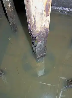 Roerom van 't Veertje