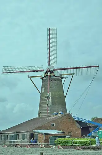 Met roeden op 1 juni 2015