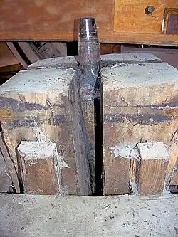 Tapijzer met vierkante staart van De Hoop, Garderen