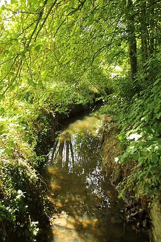 de Molenbeek in Velzeke-Ruddershove