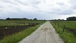 Het veld in Molenveld