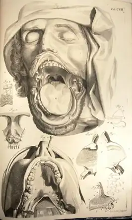 Schets van de mondholte uit Chirurgie et Médecine Ambroise Paré, 1652