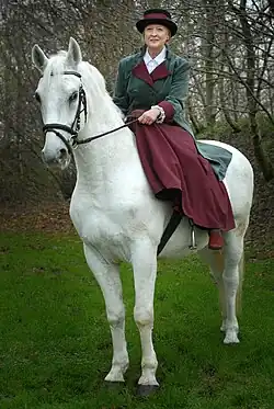 Eigentijds gebruik in 2006