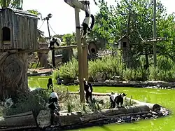 Apeneiland met vari's