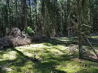 de bodem van de put van Kuyer