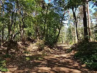 heuvels aan de noordrand van het Monnikenbos