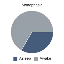 Monofasische slaap