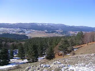 Monte Volpintesta, nationaal park Sila