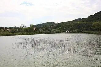 Lago Boracifero