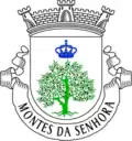 Vlag van Montes da Senhora