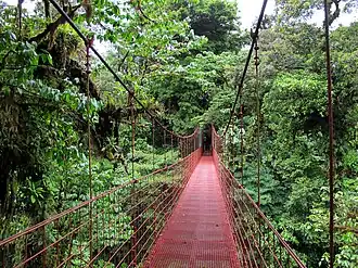 Hangbrug in Monteverde
