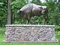 Een standbeeld van een wisent werd geplaatst ter herdenking van de succesvolle jacht op wisenten in 1860 van tsaar Alexander II van Rusland. Het standbeeld staat in Zwierzyniec, gelegen tussen Białowieża en Hajnówka.