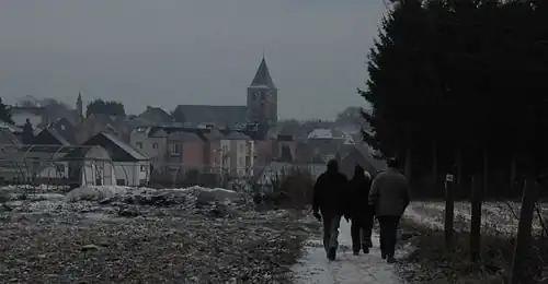 Moorsel in de winter