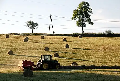 Hooioogst in Oostenrijk
