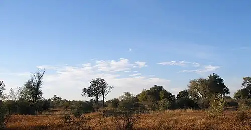 Moremi Game Reserve