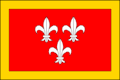 Vlag