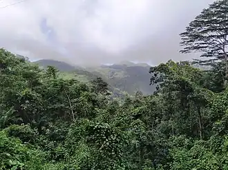 Morne Seychellois National Park