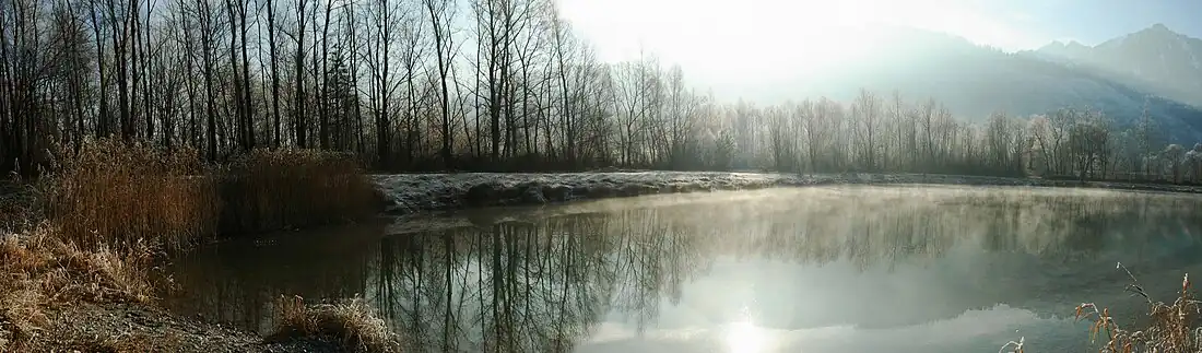 Ochtendmist in Oostenrijk