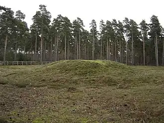 Grafheuvel bij Mortimer Common