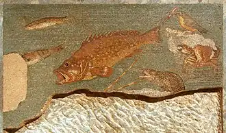 Mozaïek met vissen 1e eeuw v.Chr. Archeologisch museum Barcelona