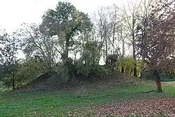 Middeleeuwse motheuvel