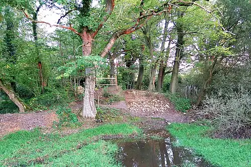 Middeleeuwse motte van Haltinne