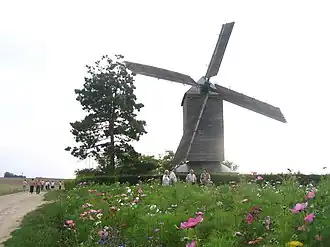 Windmolen Moulin de la Garenne