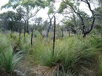 Nationaal park Mount William