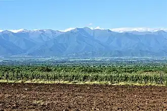 Wijnbouw in Moekoezani