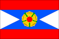 Vlag