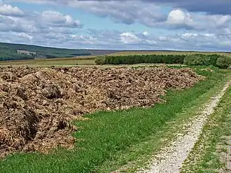 Mesthoop op kopakker langs landbouwpad