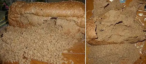 Muizengangen in 3 dagen gemaakt in een brood