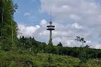 De toren gezien vanuit het Akenerbos