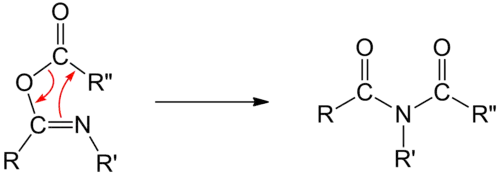 Mechanisme van de Mumm-omlegging